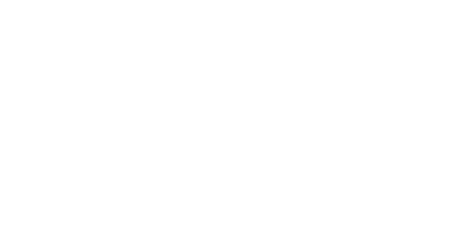 Brooklyn Digital Conservatory