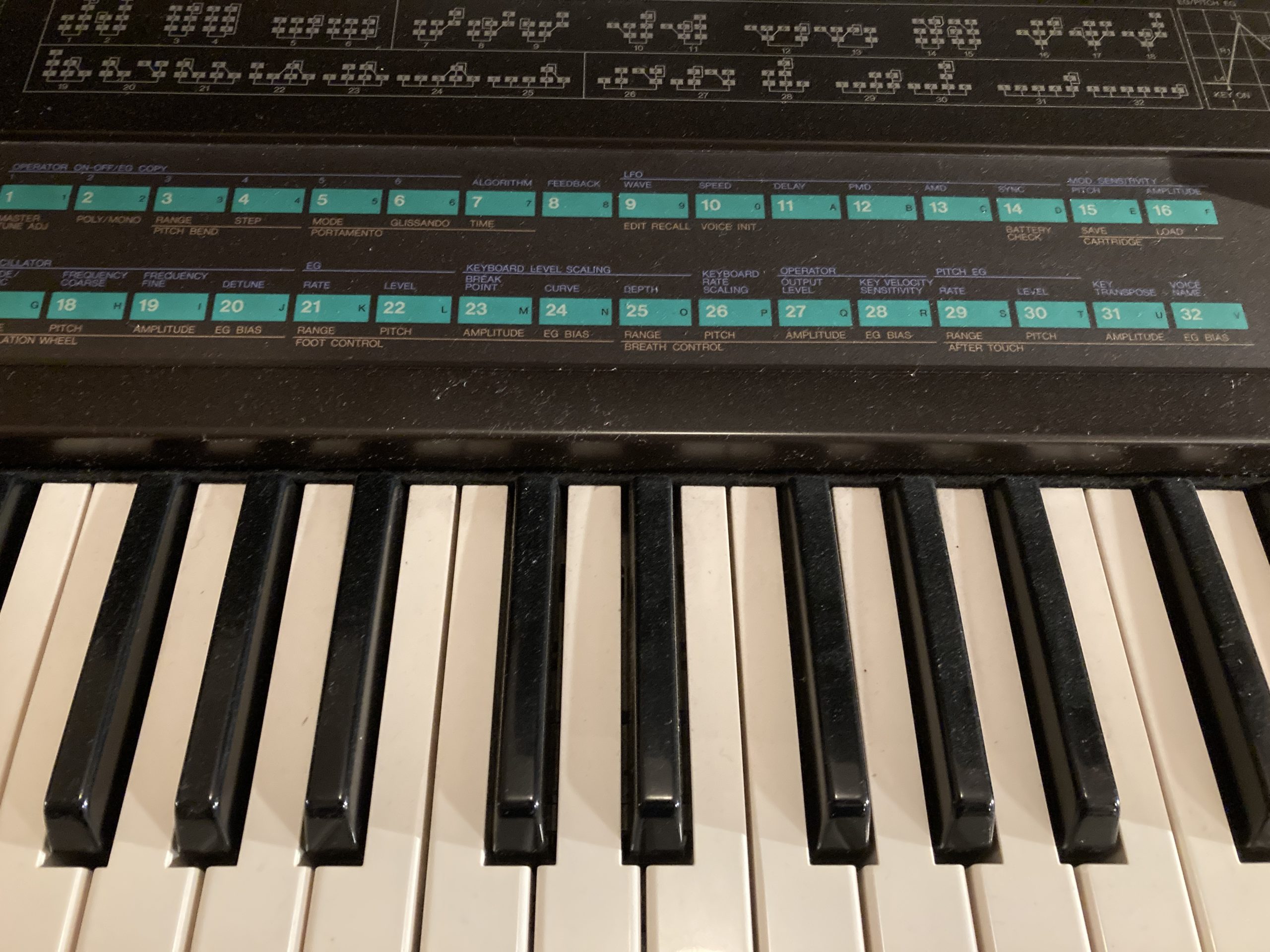 Dx7 ableton new arrivals